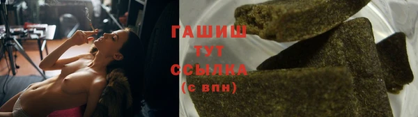 ECSTASY Новозыбков
