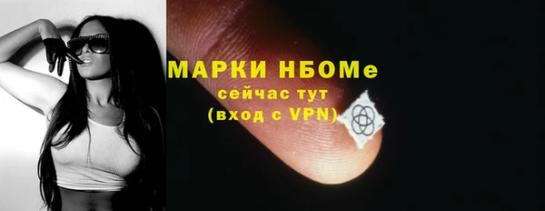 ECSTASY Новозыбков