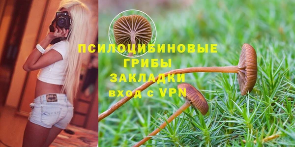 ECSTASY Новозыбков