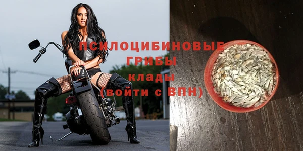 ECSTASY Новозыбков