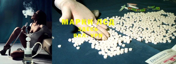 ECSTASY Новозыбков