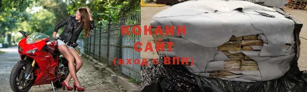 ECSTASY Новозыбков